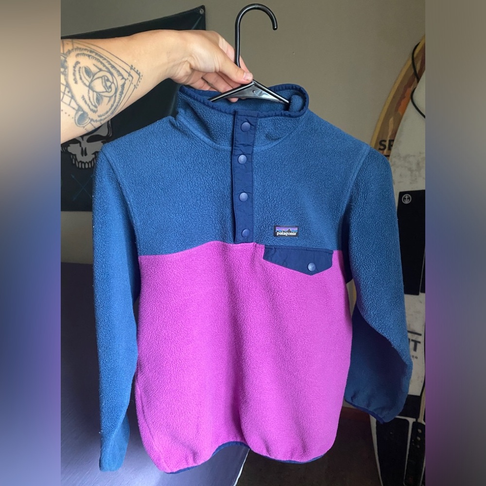 Patagonia Blue and Purple Fleece Pullover
